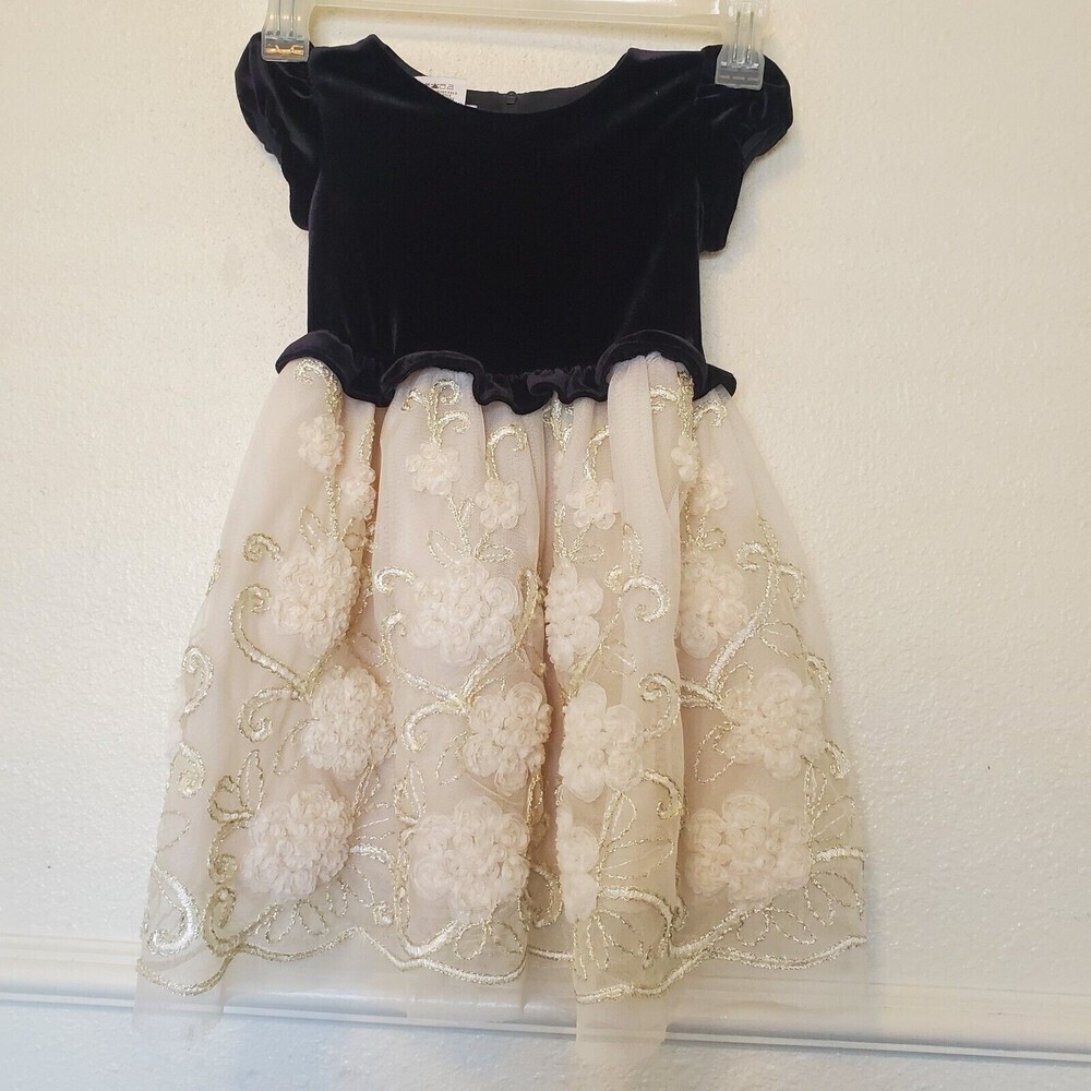 Iris & Ivy Black Velvet Champagne Tulle Floral Embroidered Dress 24M X19250-PS